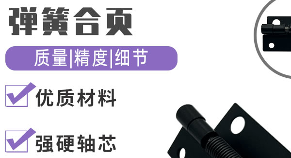 弹簧合页，引领生活|广有五金&东莞合页?